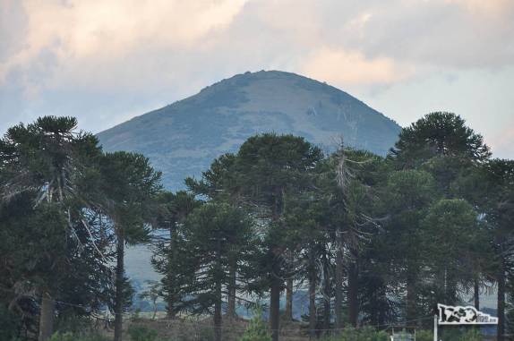 Atravessando a região da Araucania, famosa por seus pinheiros de araucária e também pelos valentes índios mapuche (região de Victoria, no Chile)